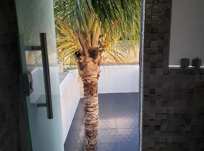 Quarto Tipo Kit Net Na Parte Externa Da Casa